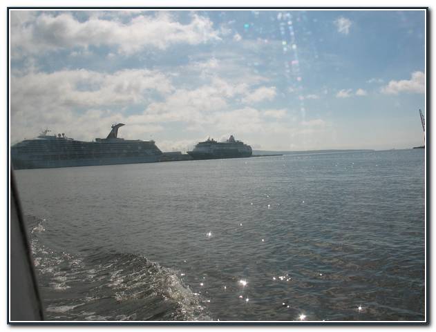 cruise042